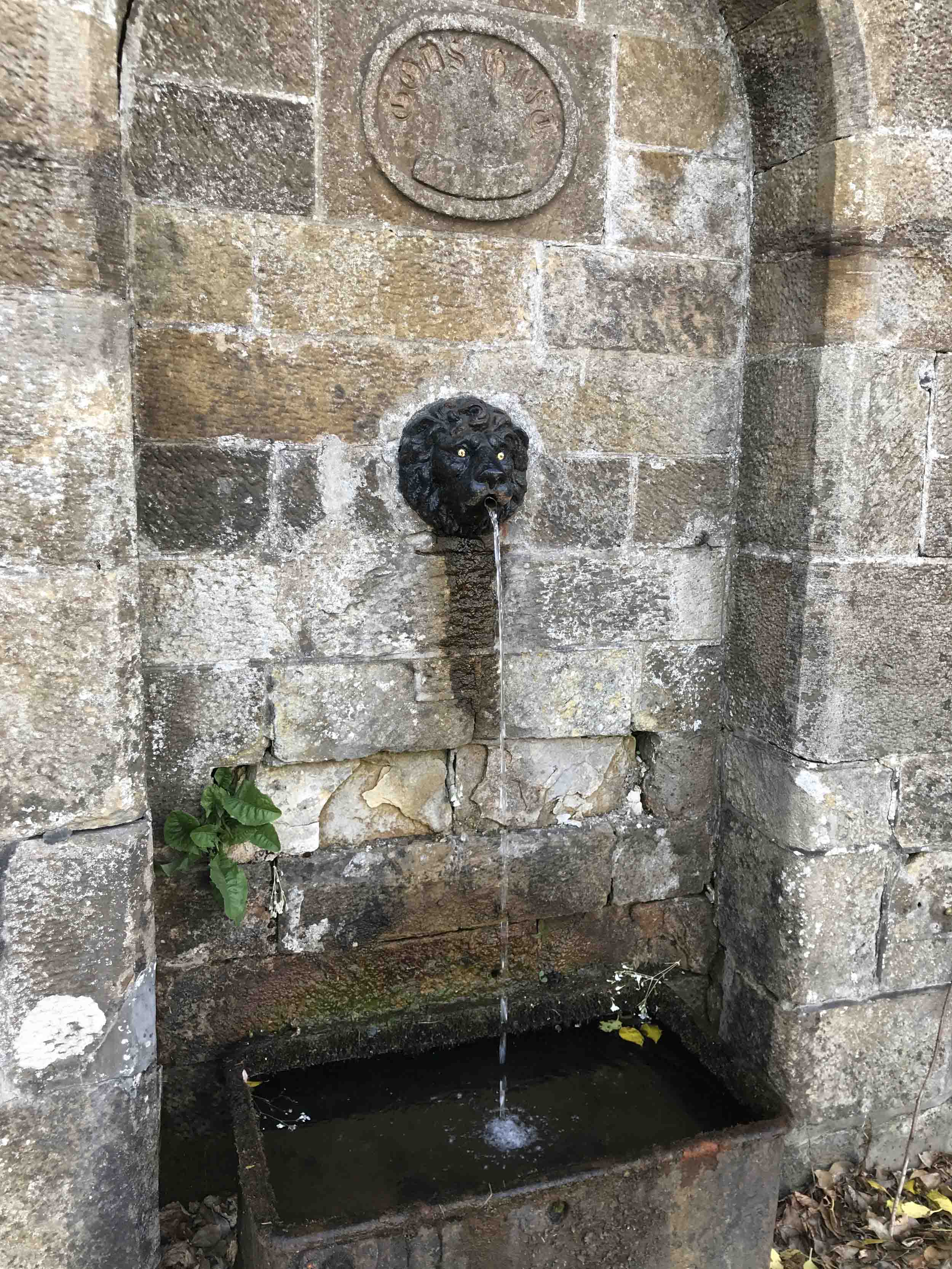 The lion's head spout with flowers from well-wishers